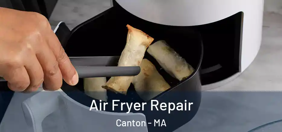 Air Fryer Repair Canton - MA