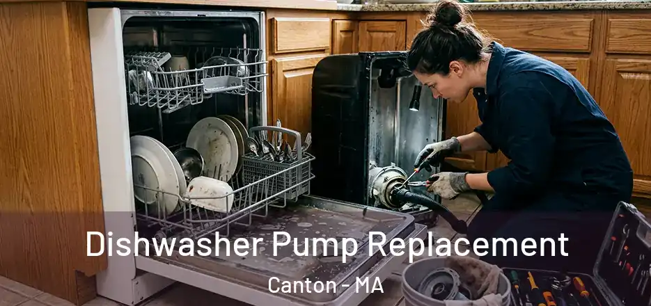 Dishwasher Pump Replacement Canton - MA