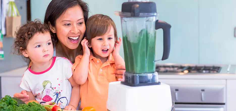 Juicer and Mixer Blender Repair in Canton