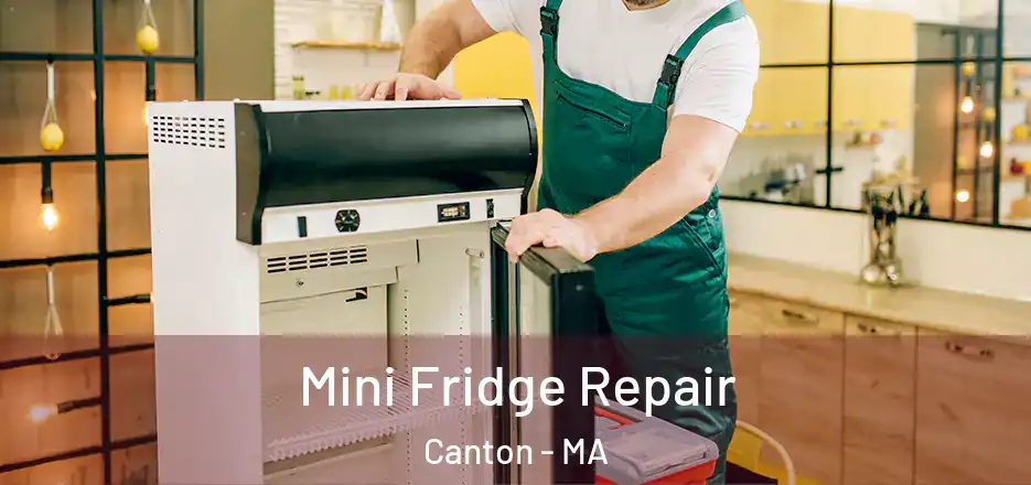 Mini Fridge Repair Canton - MA