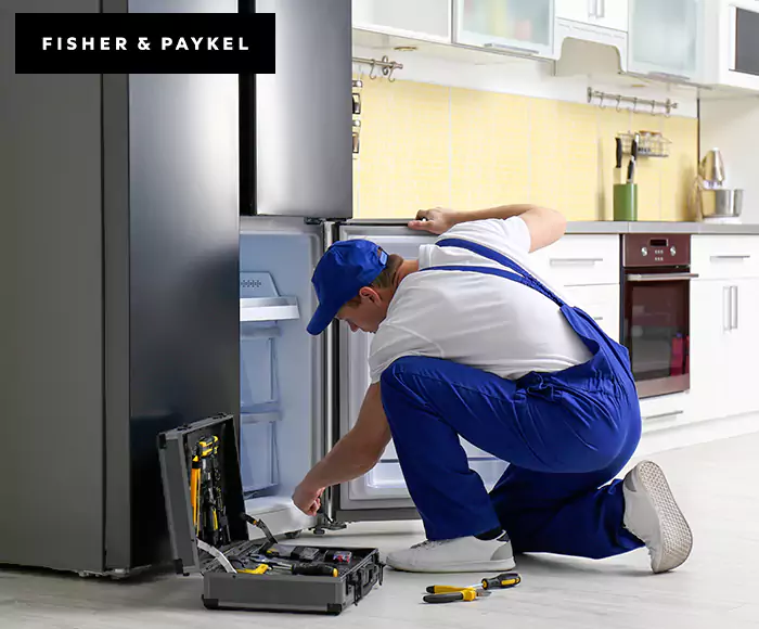 Top-Rated Fisher & Paykel Appliance Experts: Your Brand Specialist in Canton, MA